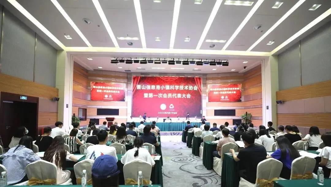 凝聚科技力量、打破西方垄断：杭州湾信息港科学技术协会正式成立
