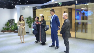 打造双创生态：河北省廊坊市组织部领导一行莅临谈球吧科技