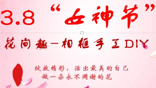 逐梦花影，绽放光彩，女神节快乐！