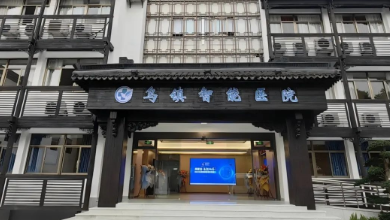 医疗AI科技如何助力公立医院改革与高质量发展？