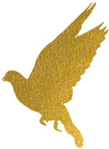 ذ̸ɼCNAS(ͼ1)