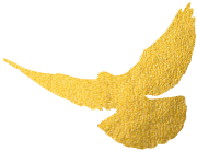 ذ̸ɼCNAS(ͼ2)