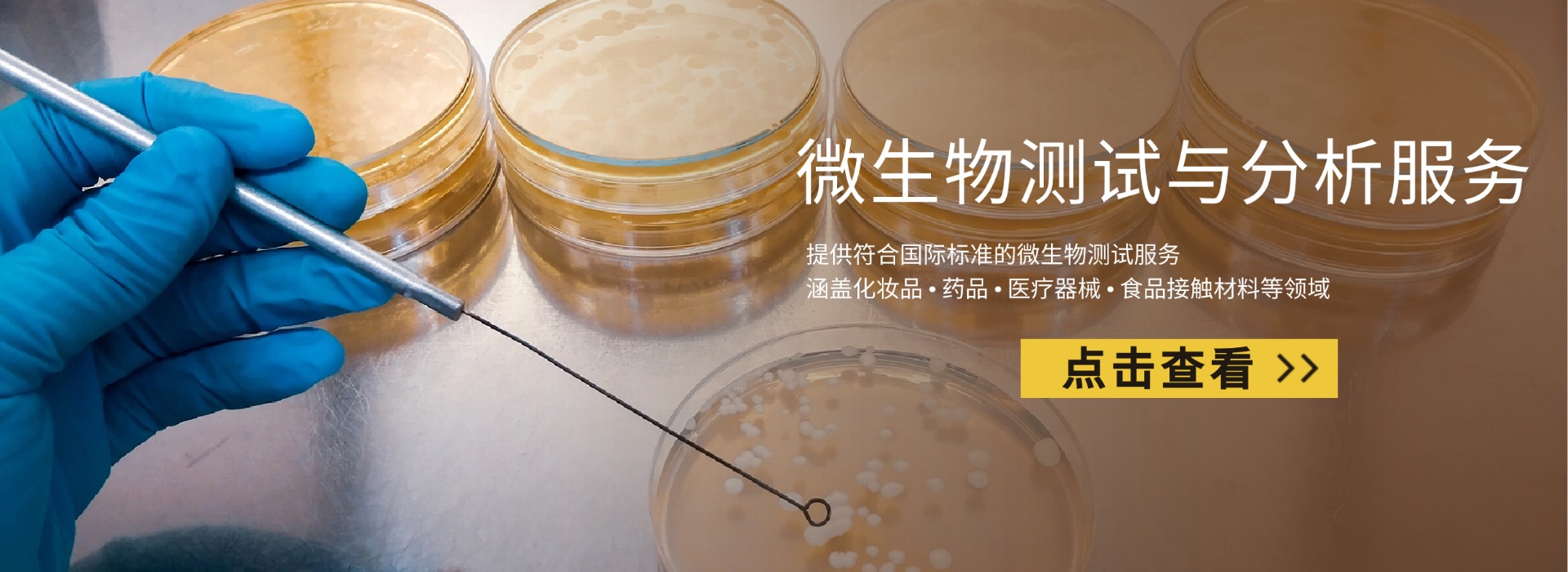 微生物测试与分析服务(图1) 微生物测试与分析服务(图1)