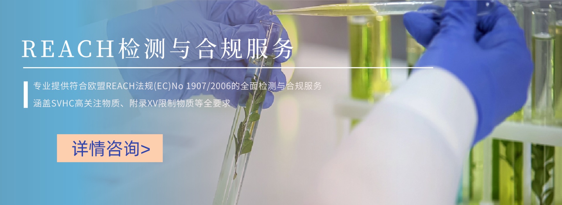 REACH检测与合规服务(图1) REACH检测与合规服务(图1)